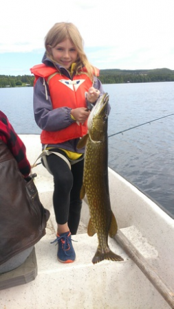 Gäddfiske